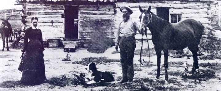 オーストラリアン シェパードの歴史: 犬種の裏側