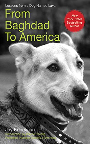 バグダッドからアメリカへ: ラヴァという名前の犬からの人生の教訓 by (コペルマン、ジェイ)