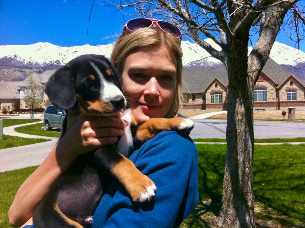 Spoon の紹介: Entlebucher Mountain Dog は、ありそうもない敏捷性のプロである