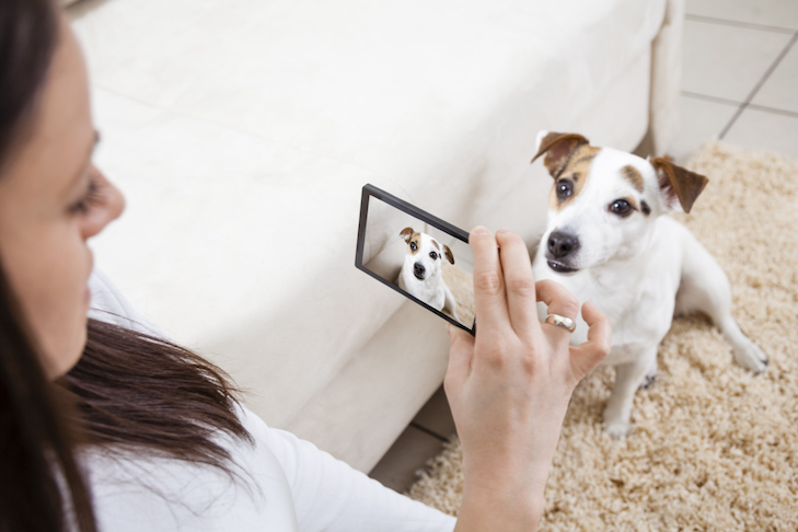 犬を連れた若い女性