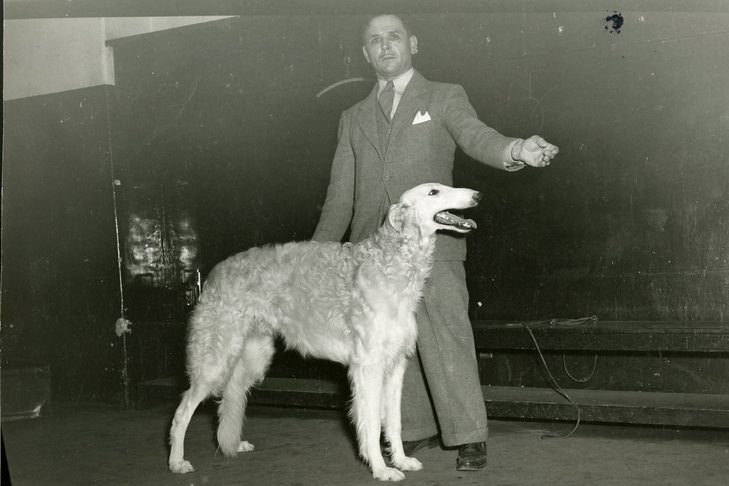 Ch. ロマノフのヴィゴウ、ボルゾイ。 c. 1939年
