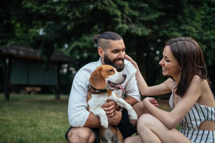 庭で男女に抱きしめられるビーグル犬。人々