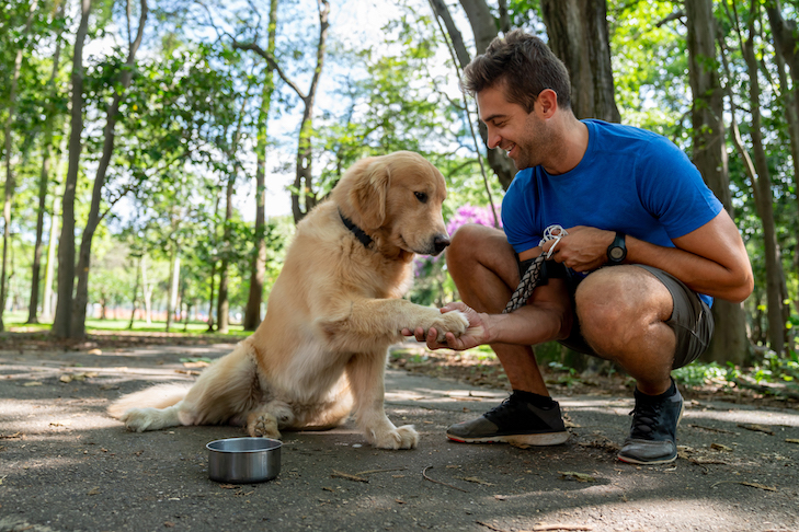 公園で犬と一緒にトレーニングする幸せなブラジル人の男は、彼に足を与えるように頼みます。