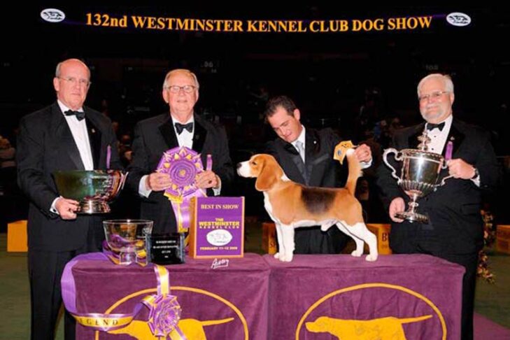 Westminster Best in Show Winner 2008:ch。 K-Run's Park Me An First