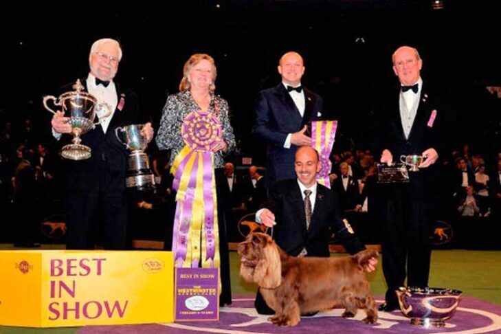 Westminster Best in Show Winner 2009:ch。 clussexxスリーDグリンチーグリー