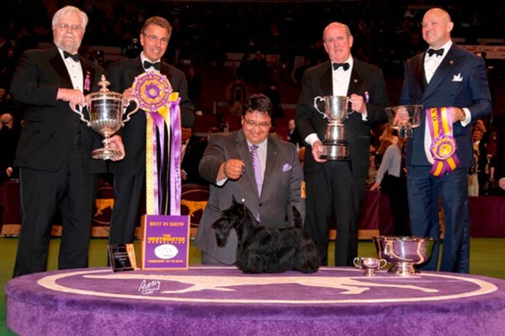 Westminster Best in Show Winner 2010:ch。マリースコットのラウンドタウンメルセデス