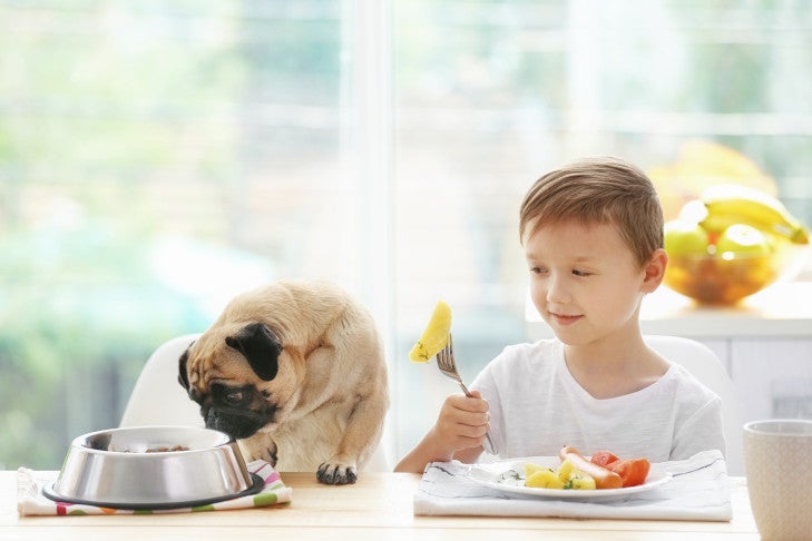テーブルで男の子と一緒に食事をするパグ。