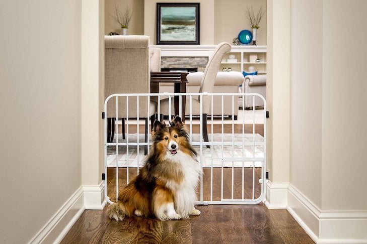 Carlson Pet Products ペットドア付き Tuffy 拡張可能ゲート