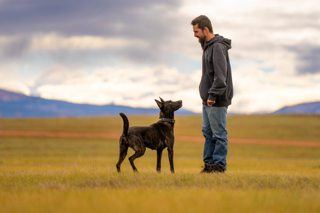 犬を訓練する男性の飼い主