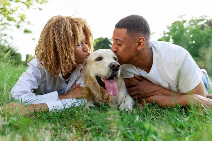 草の上に横たわってゴールデンレトリバーにキスをするカップル。